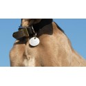 Médaille patte de chien verte