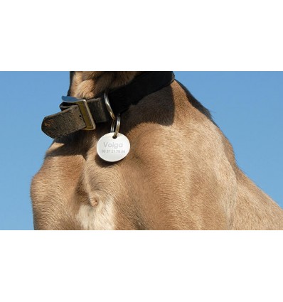 médaille os dorée gravée