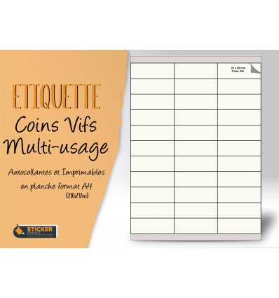 Etiquette multi-usage 70x25mm coins vifs