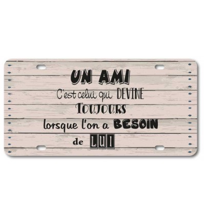 PLAQUE D'IMMATRICULATION