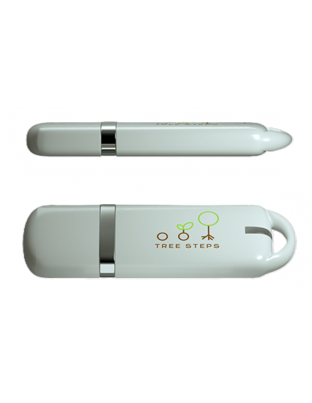 Clé USB 2 Go personnalisable